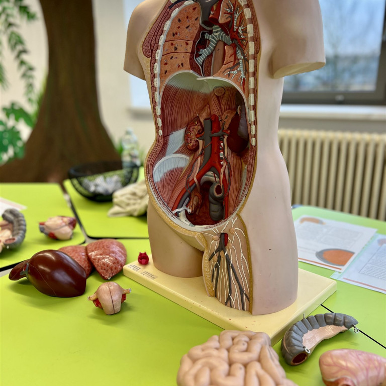 Erfolgreiche 17. Regionale Kontaktbörse am RBB Müritz
