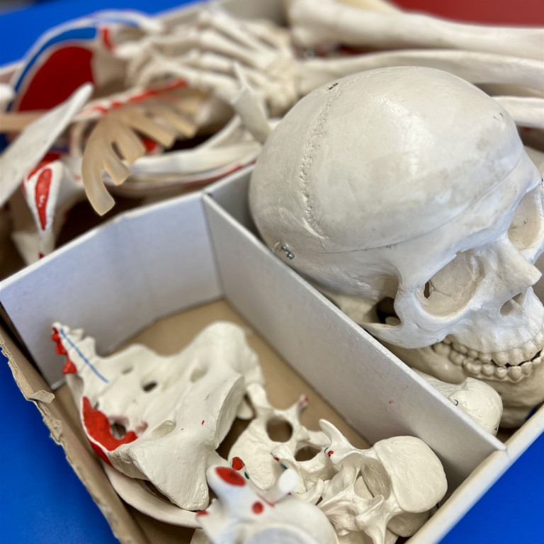 Erfolgreiche 17. Regionale Kontaktbörse am RBB Müritz