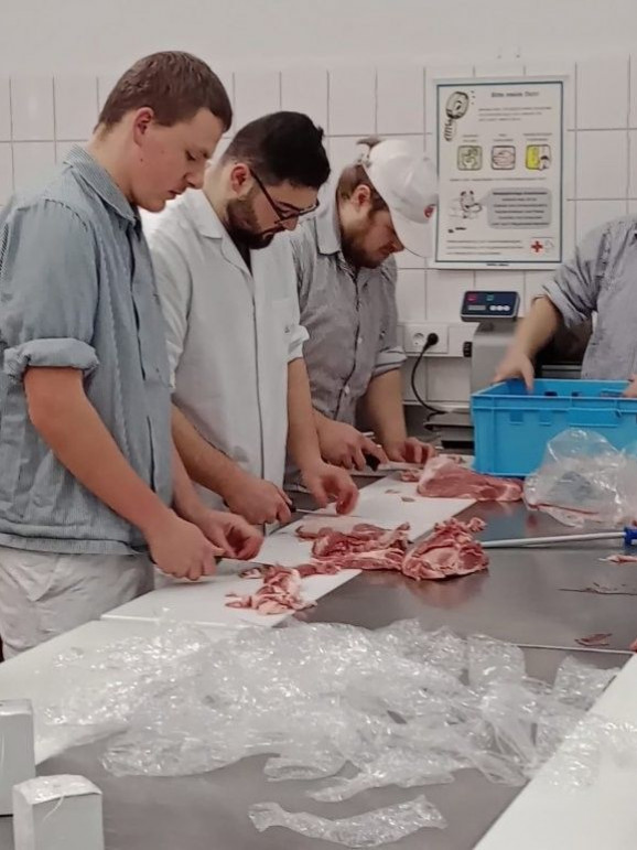 Von Praktikern lernen