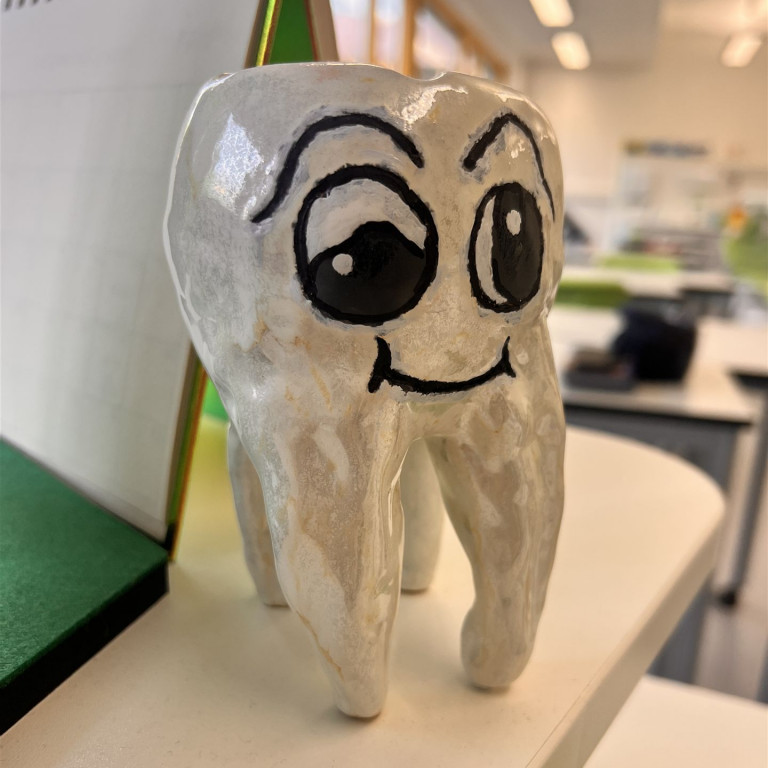 Fachseminar mit Oral B im DentalLab