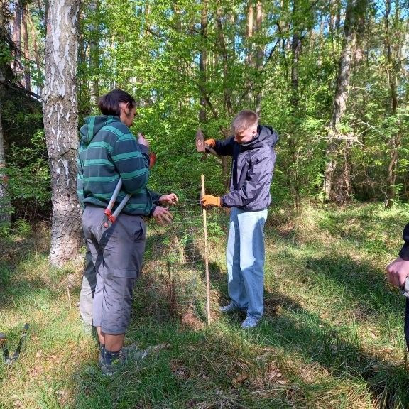 Natur erleben und verstehen