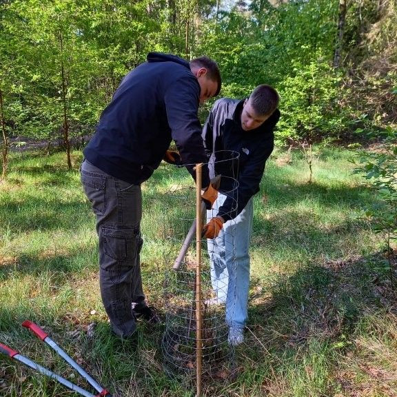 Natur erleben und verstehen
