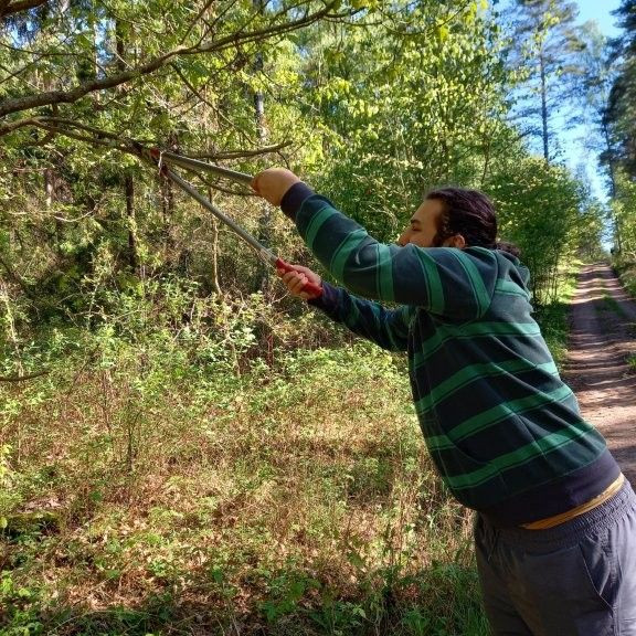 Natur erleben und verstehen